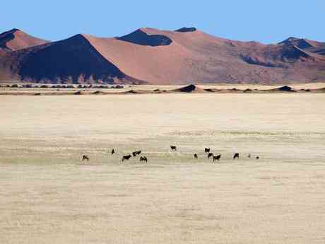 Diverse Namibia